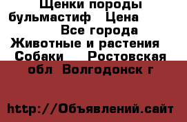 Щенки породы бульмастиф › Цена ­ 25 000 - Все города Животные и растения » Собаки   . Ростовская обл.,Волгодонск г.